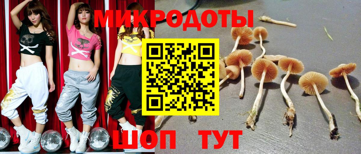 где купить наркоту  Псилоцибиновые грибы ЛСД  Вход с VPN  Петрозаводск 